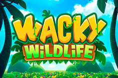 Wacky Wildlife
