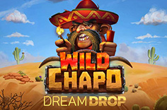 Wild Chapo Dream Drop