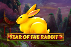 Year Of The Rabbit