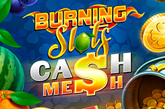 Cash Mesh™