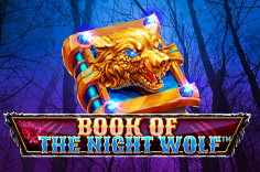 Book Of The Night Wolf