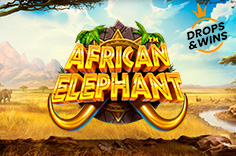 African Elephant™