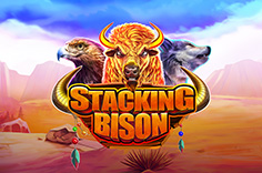 Stacking Bison