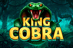 King Cobra