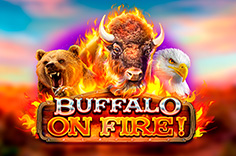 Buffalo on Fire!
