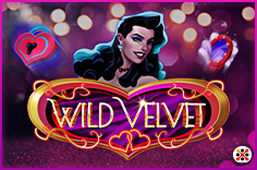 Wild Velvet