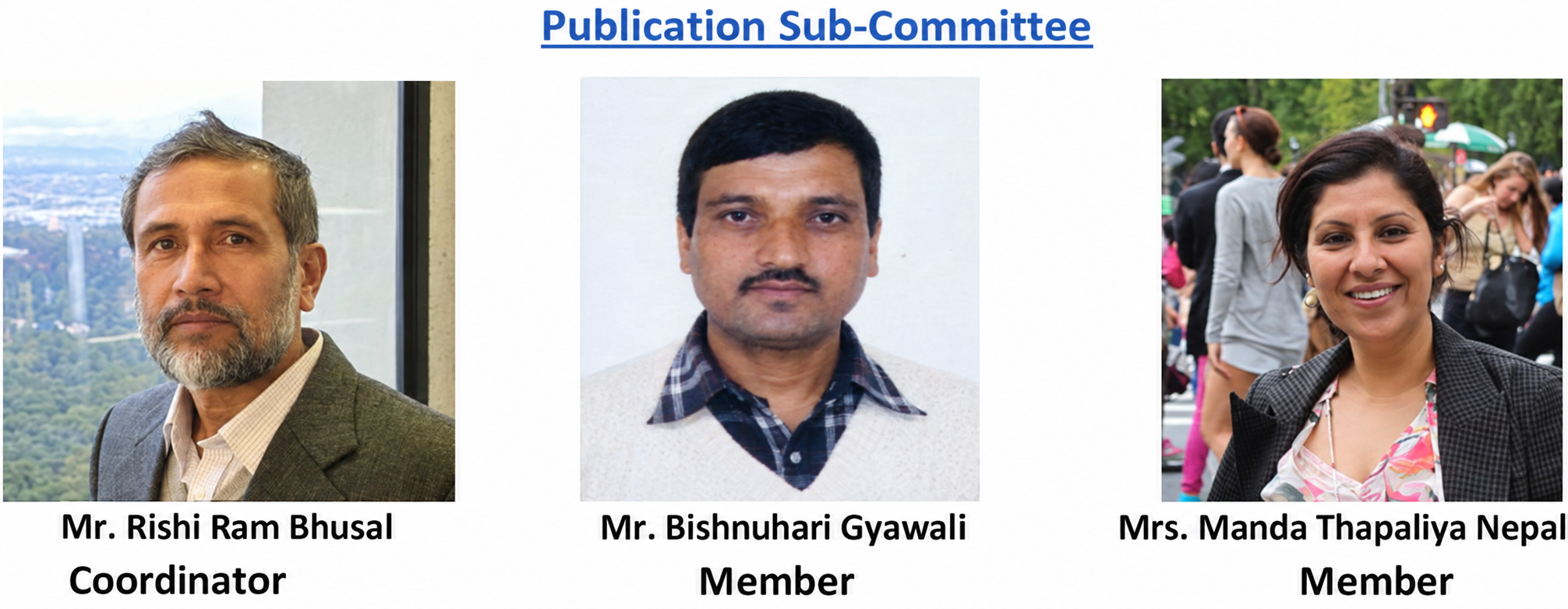 Past Publication Sub-Committee roster
