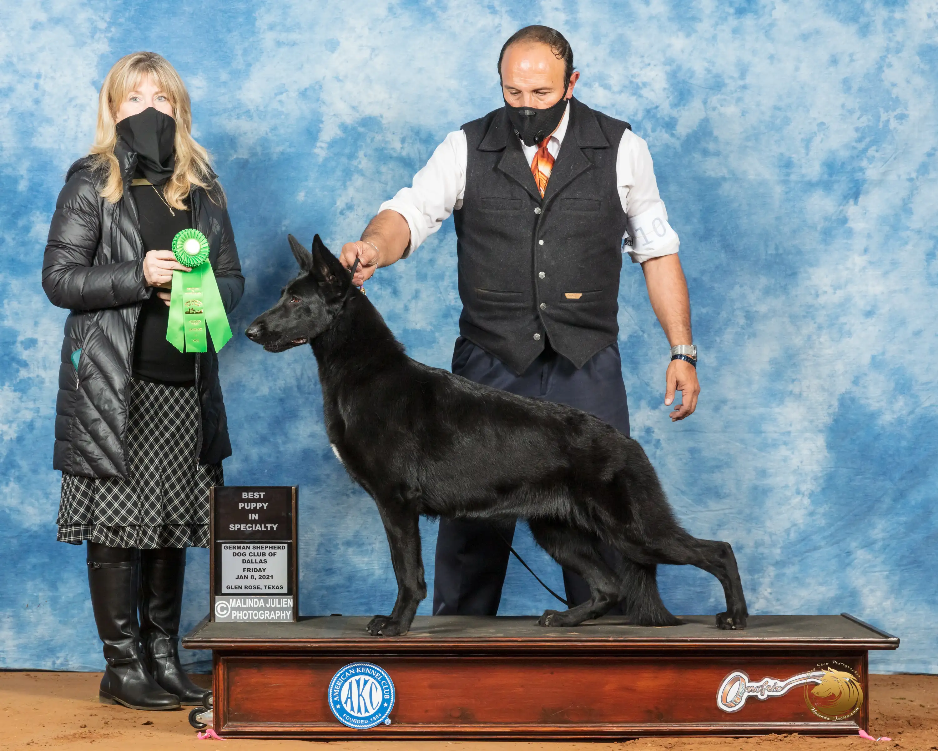 GCH CH TACORAS BLACK BEAUTY STORMY OF MEGAK-9