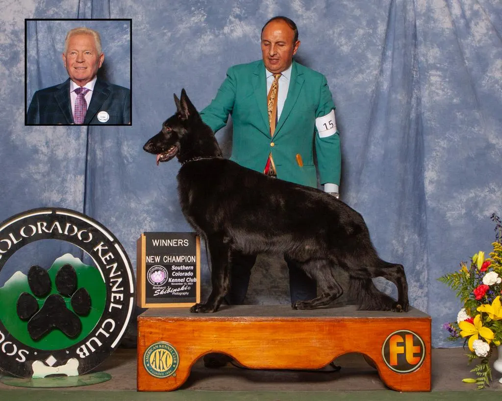 CH ACE of Mega K9