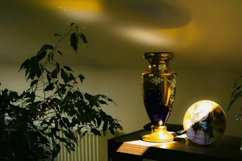 BNB KENYA - Property