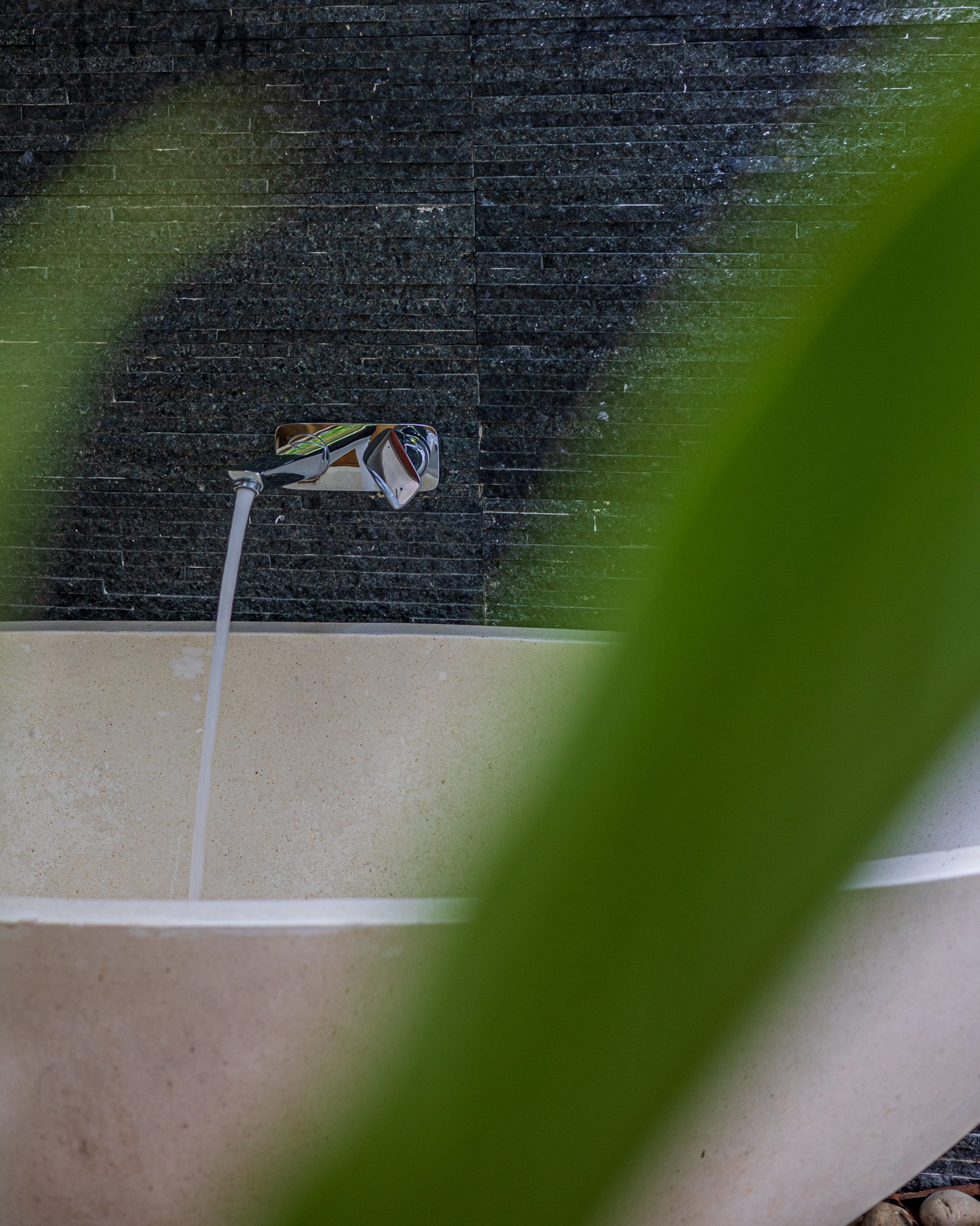Wall-mounted faucet over a stone basin, framed by a blurred green leaf.