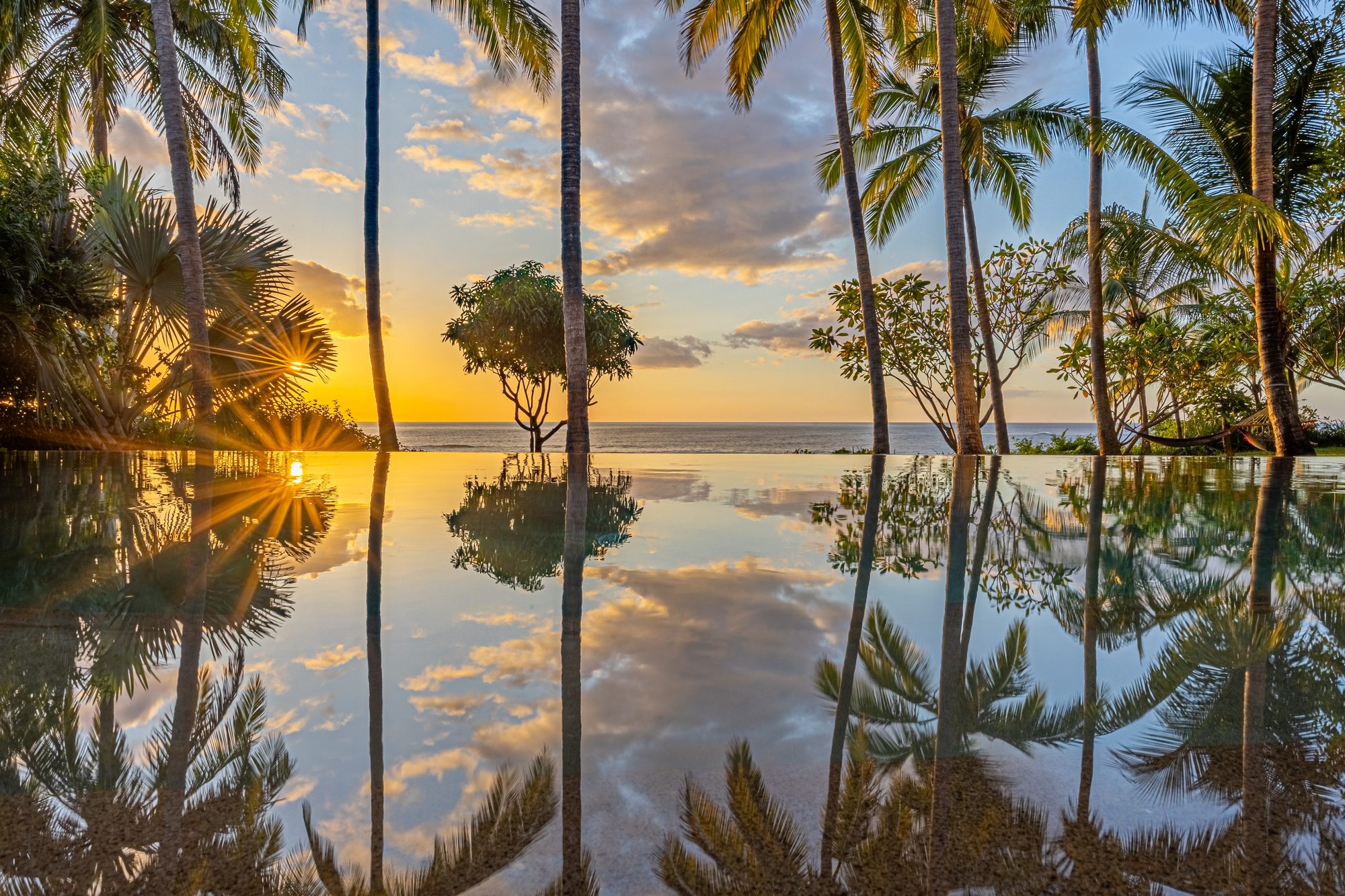 Infinity pool reflecting palm trees and sunset over the ocean.