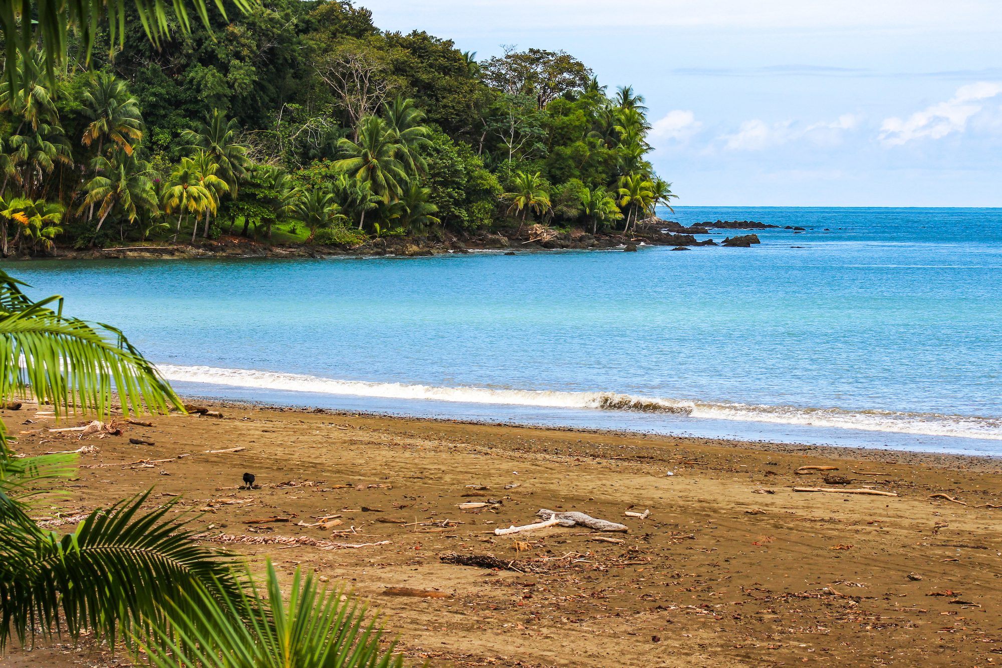 Cala de playa tropical en Bahía Drake
