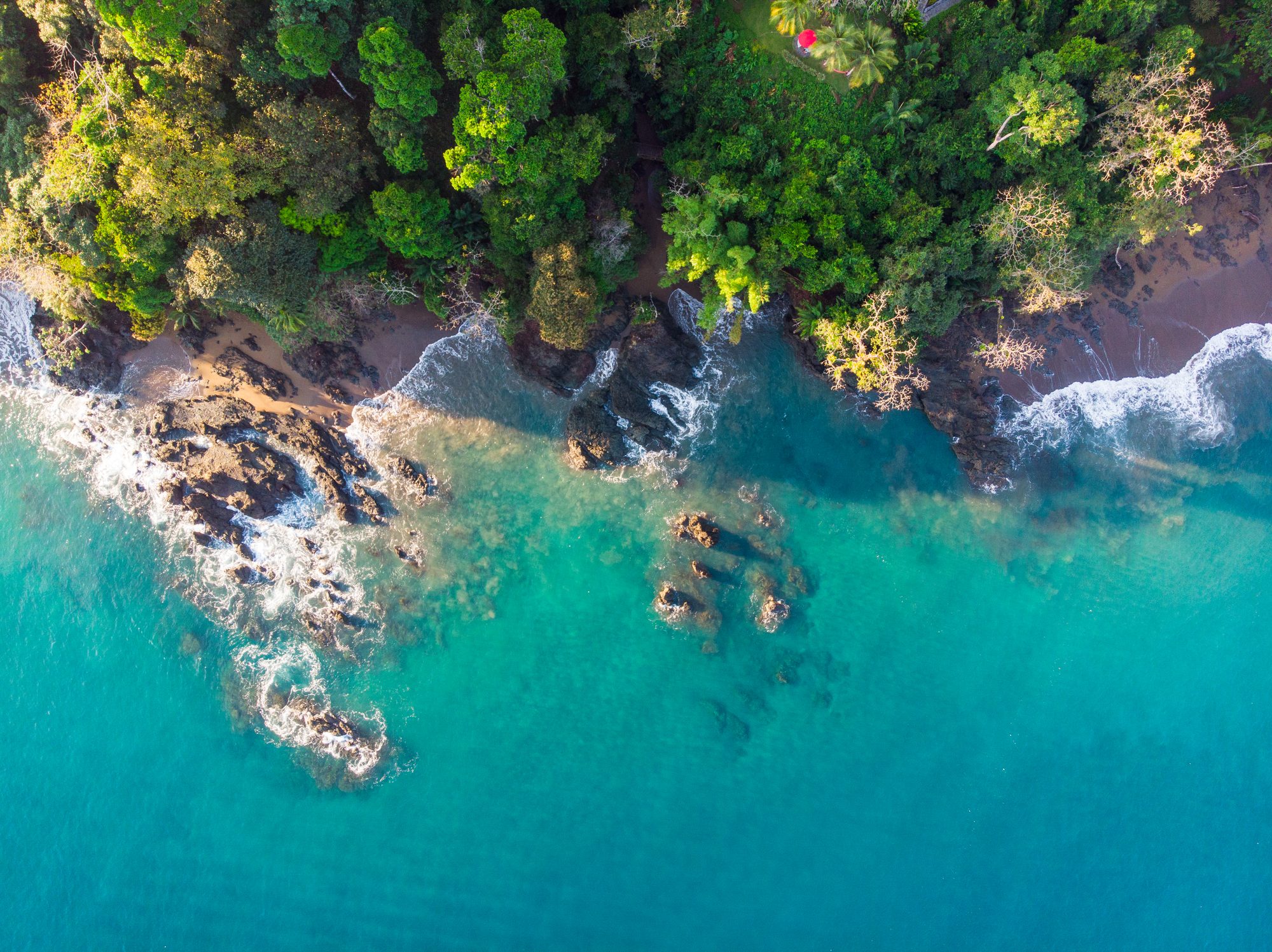 Aerial view of a rocky coastline with tropical jungle and turquoise waters in Costa Rica.