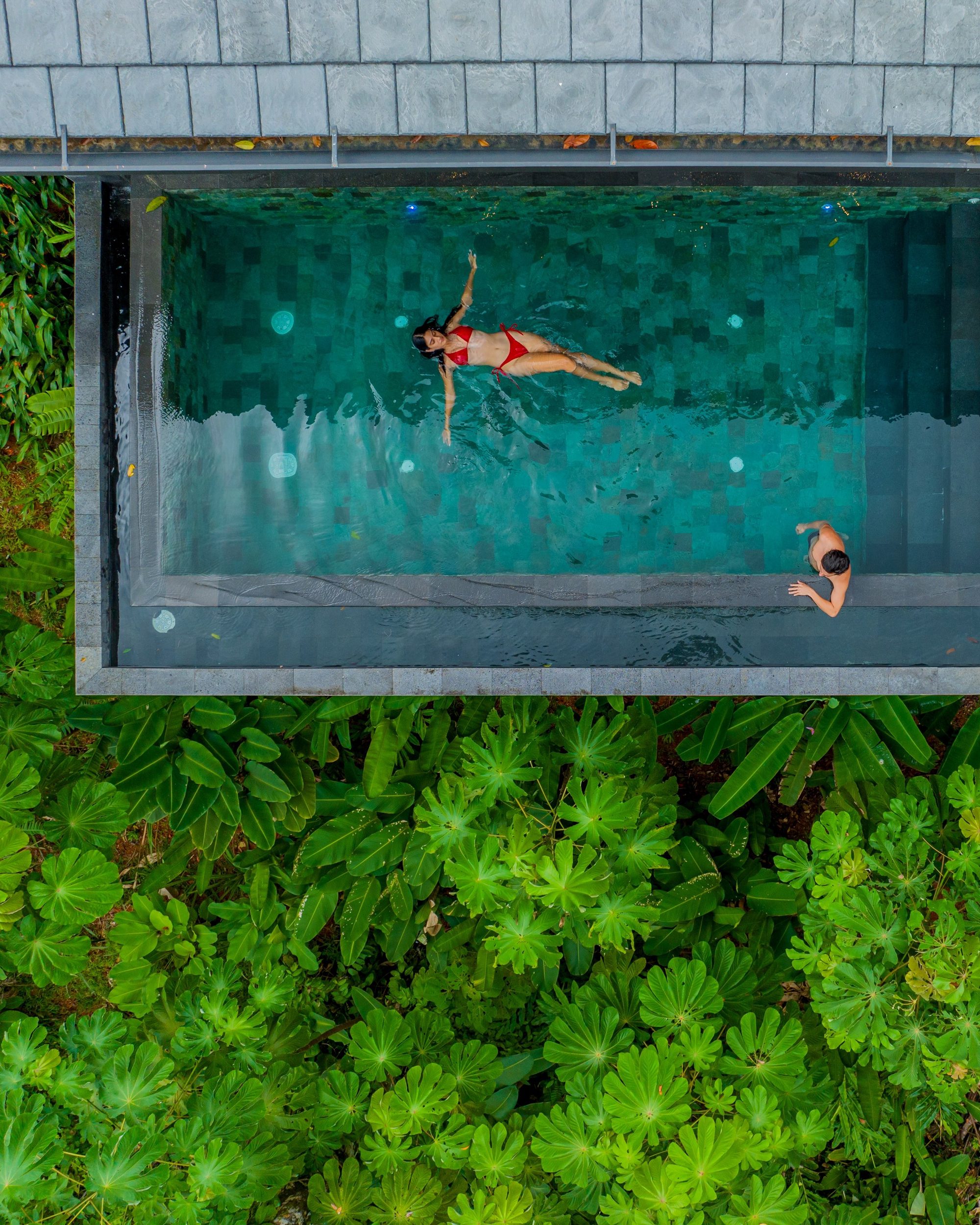 A woman swims in a pool surrounded by jungle as a man watches from the edge.