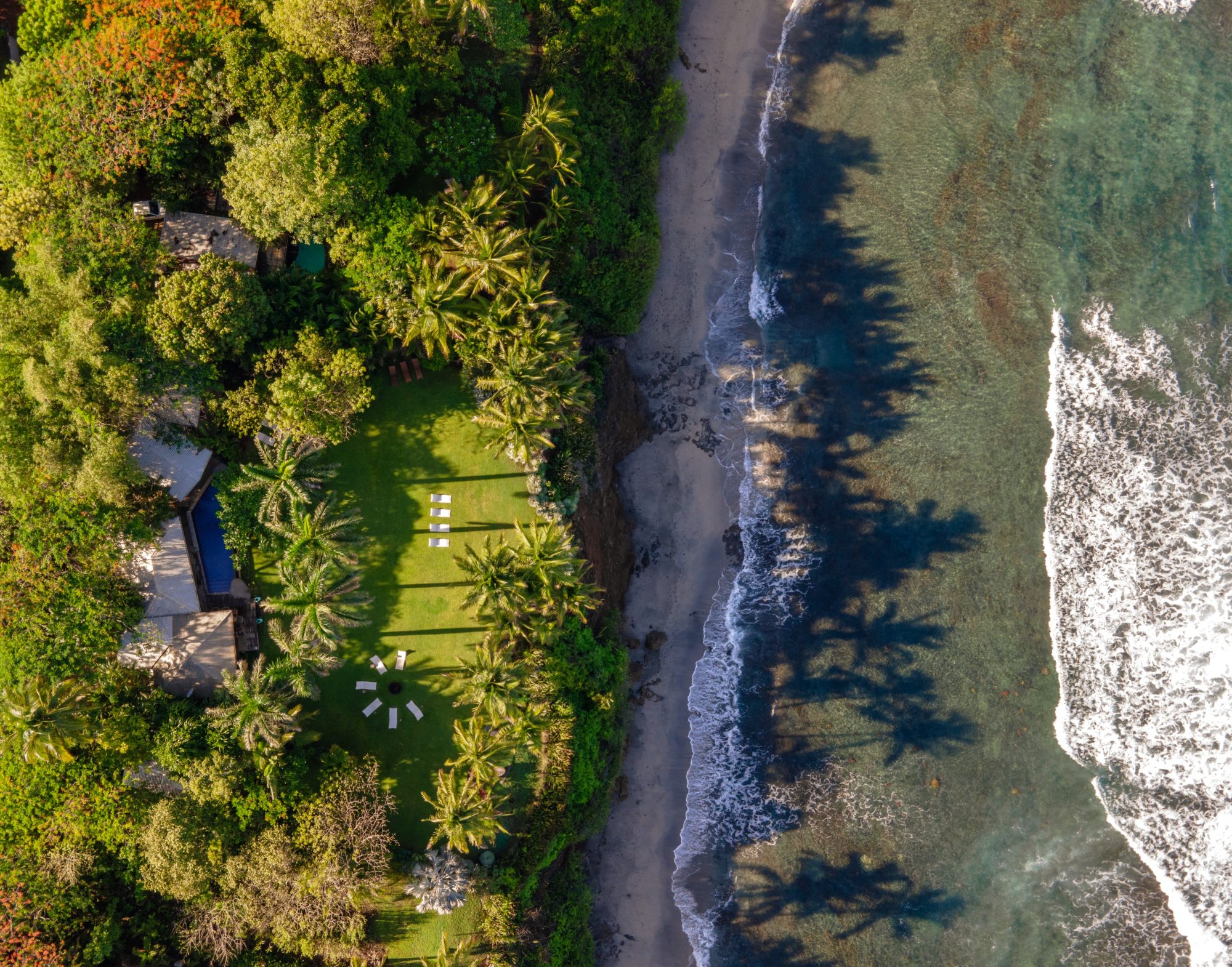 Aerial view of a beachfront property with tropical garden and crashing waves.