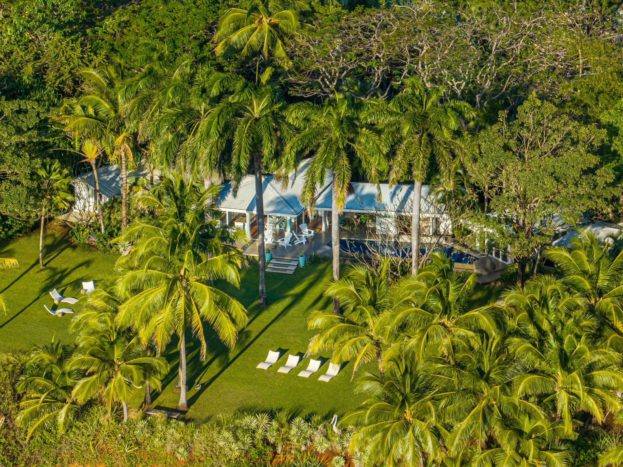 Aerial view of a tropical house surrounded by palm trees and gardens.