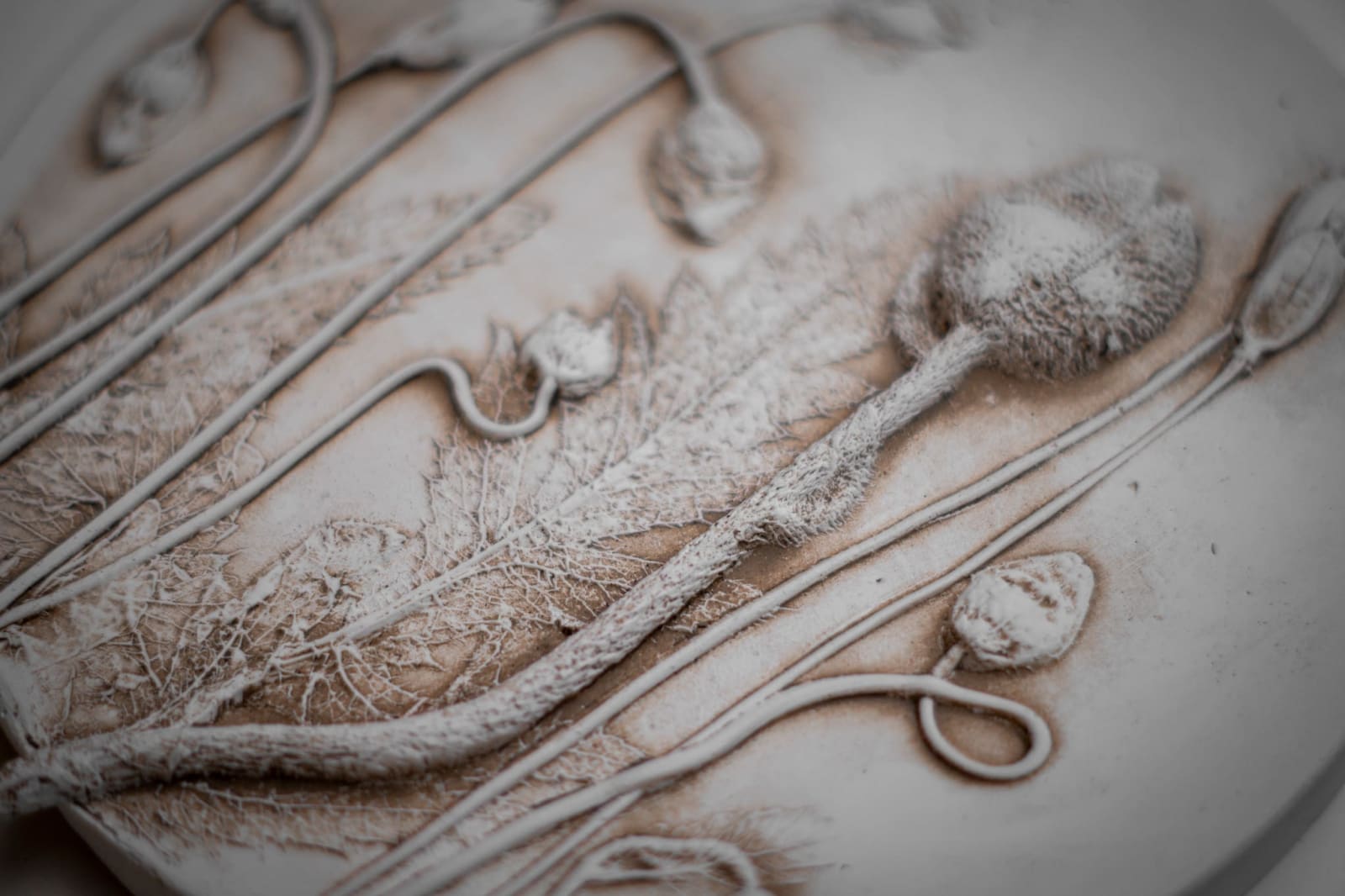 Botanical plaster cast by Olya Kivlin, 2 of 11