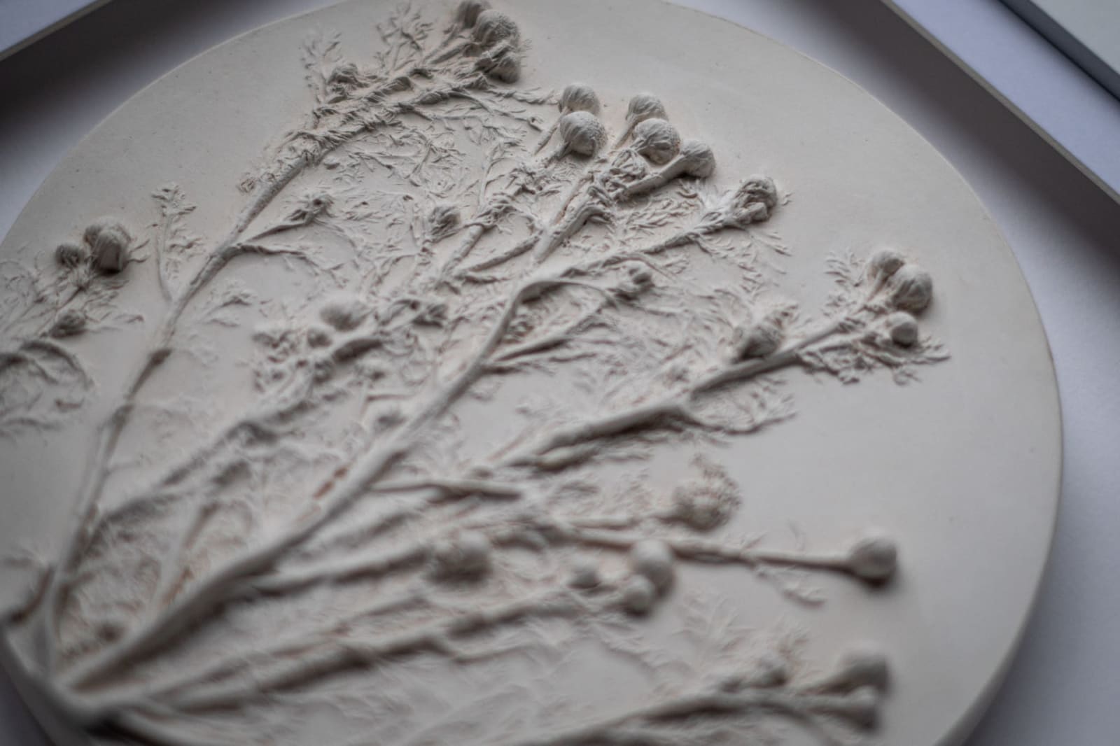 Botanical plaster cast by Olya Kivlin, 4 of 11