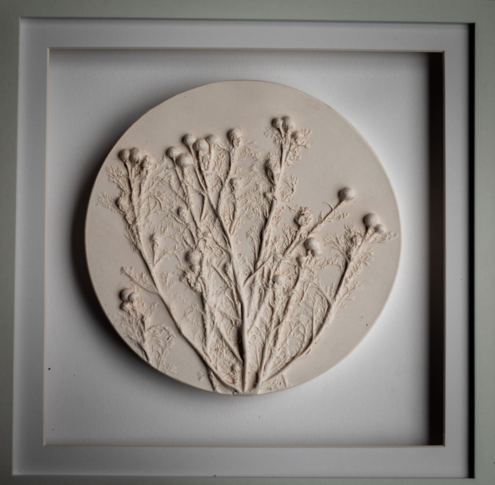 Botanical plaster cast by Olya Kivlin, 5 of 11