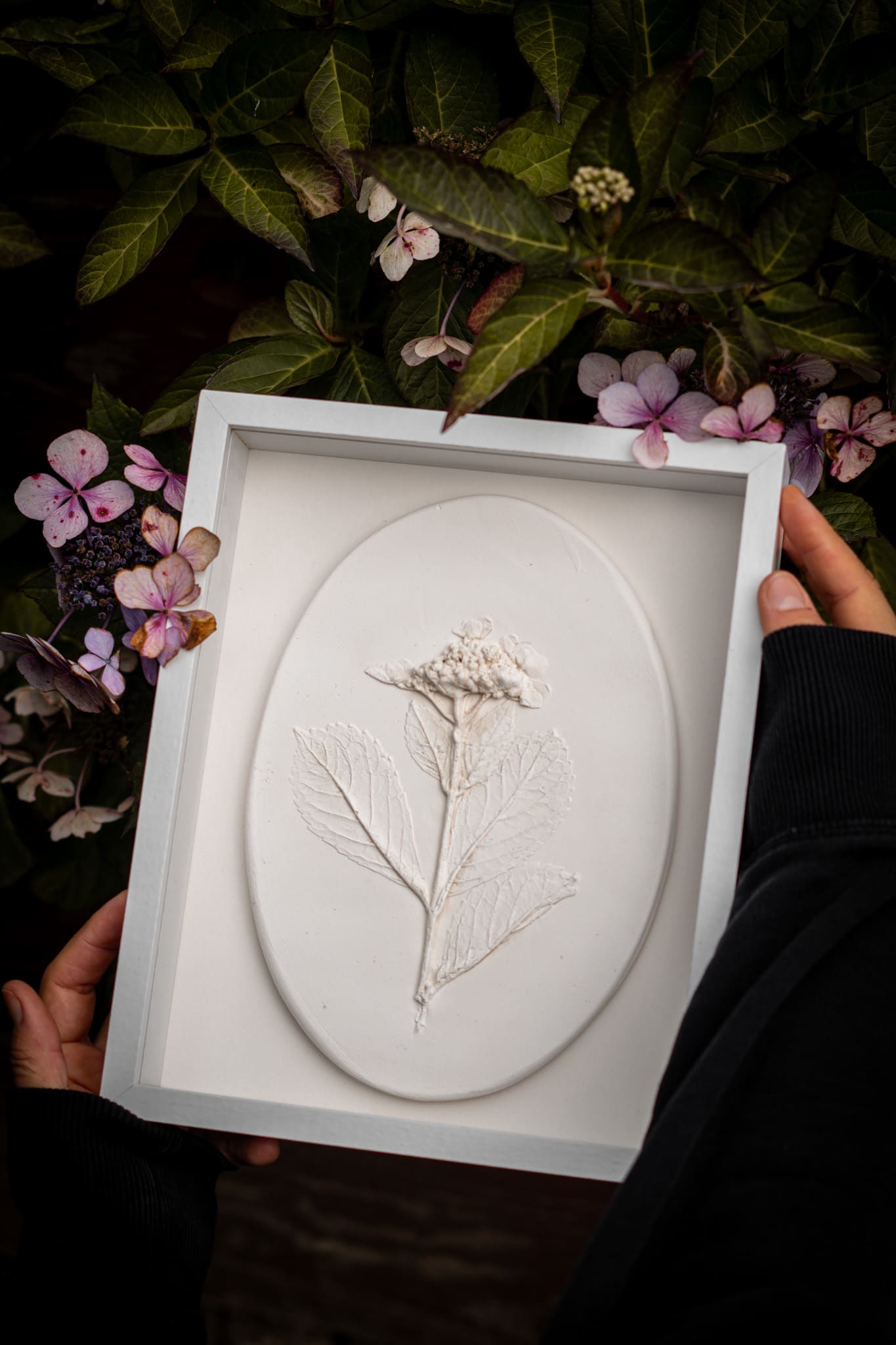 Botanical plaster cast by Olya Kivlin, 6 of 11
