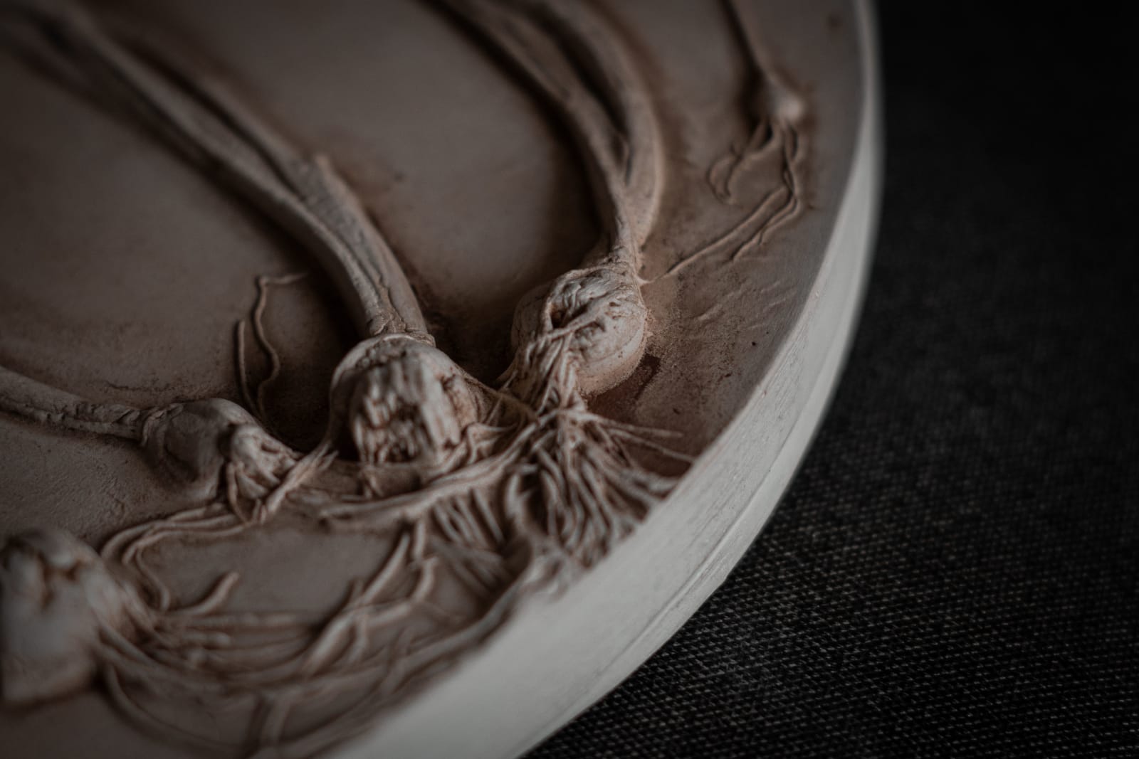 Botanical plaster cast by Olya Kivlin, 8 of 11