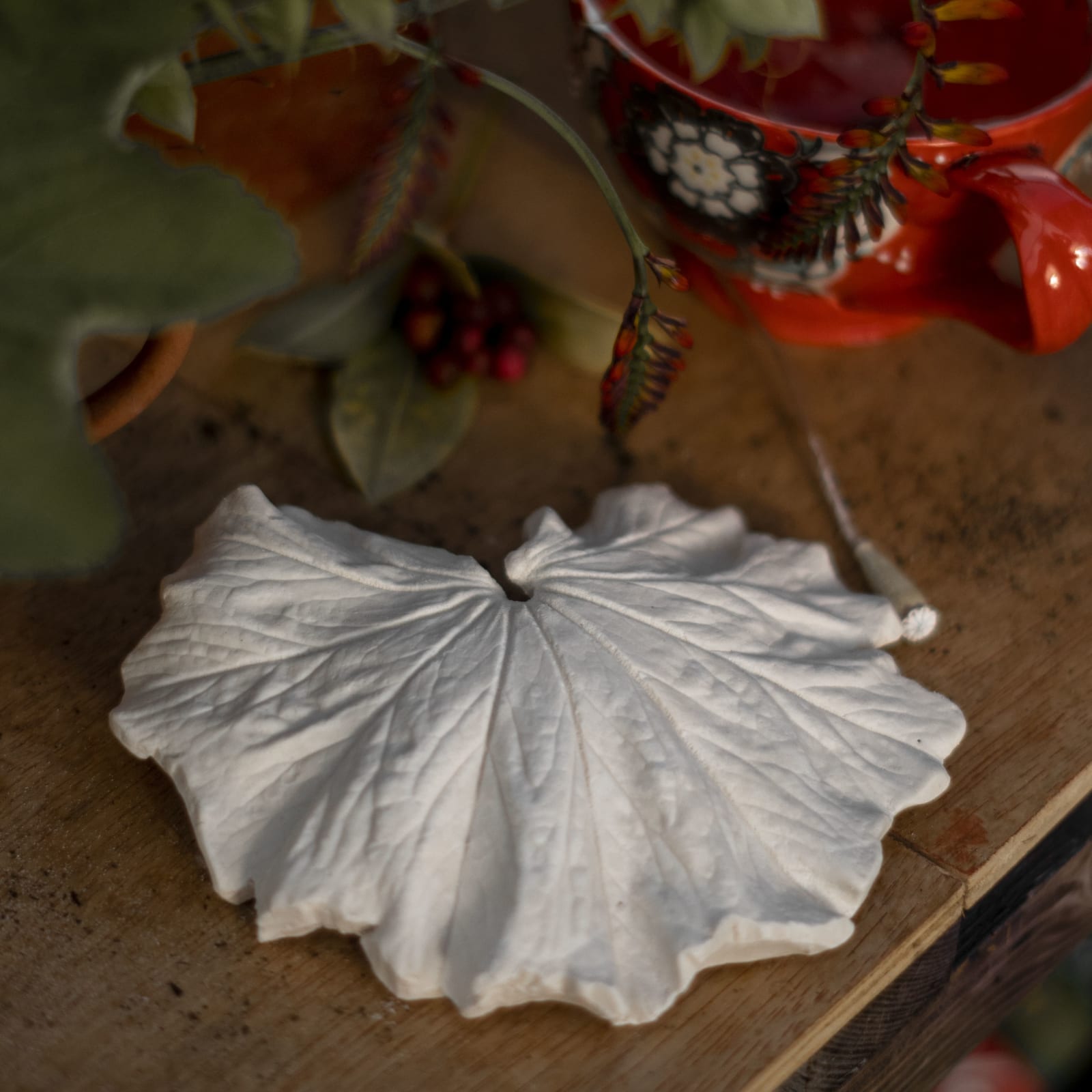 Botanical plaster cast by Olya Kivlin, 10 of 11