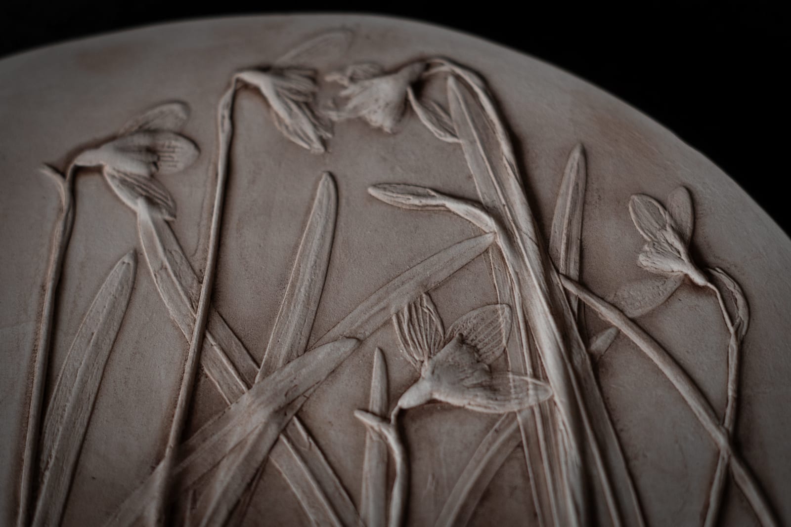 Botanical plaster cast by Olya Kivlin, 7 of 11