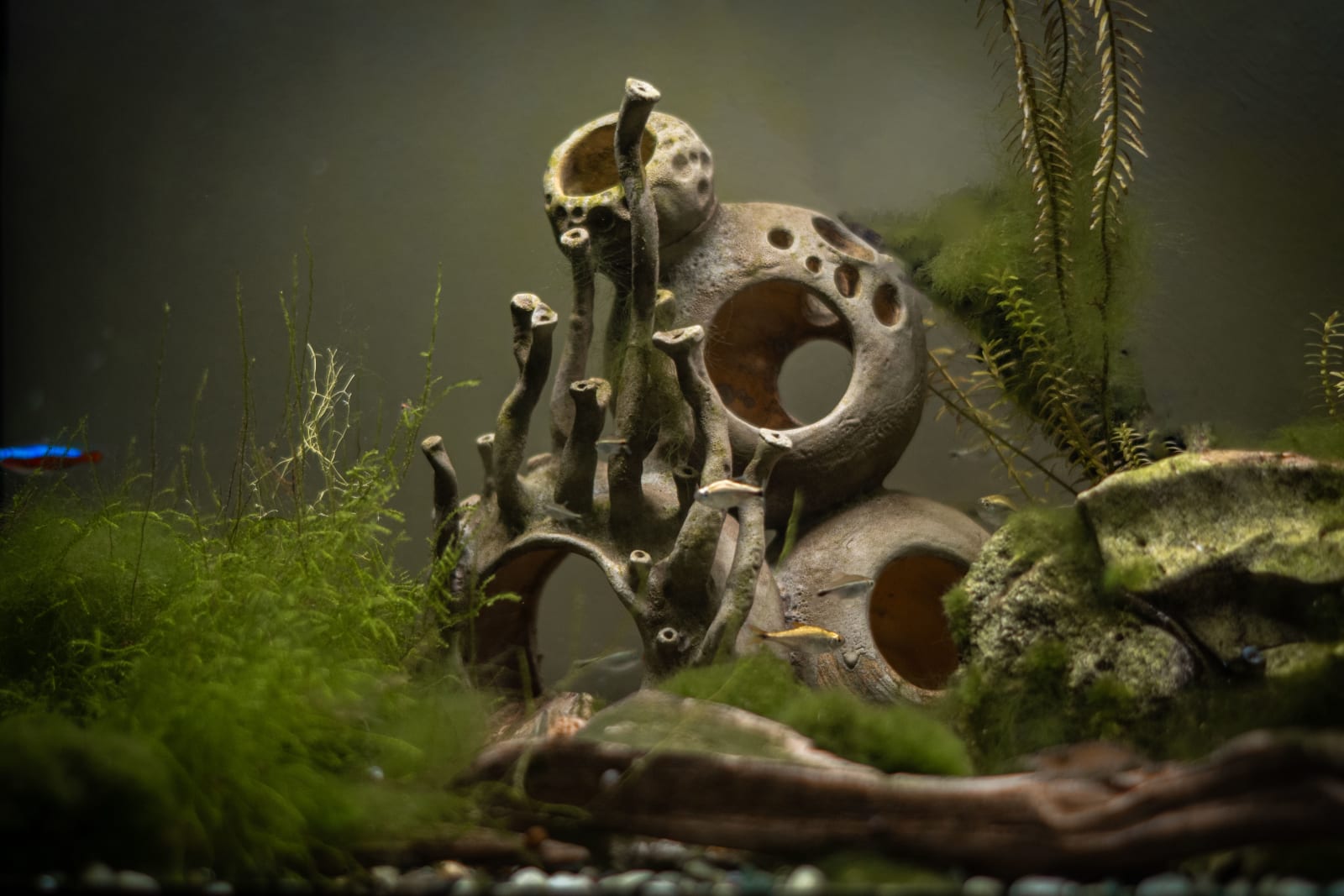 Ceramic underwater scene with hollow tube forms, planted in water