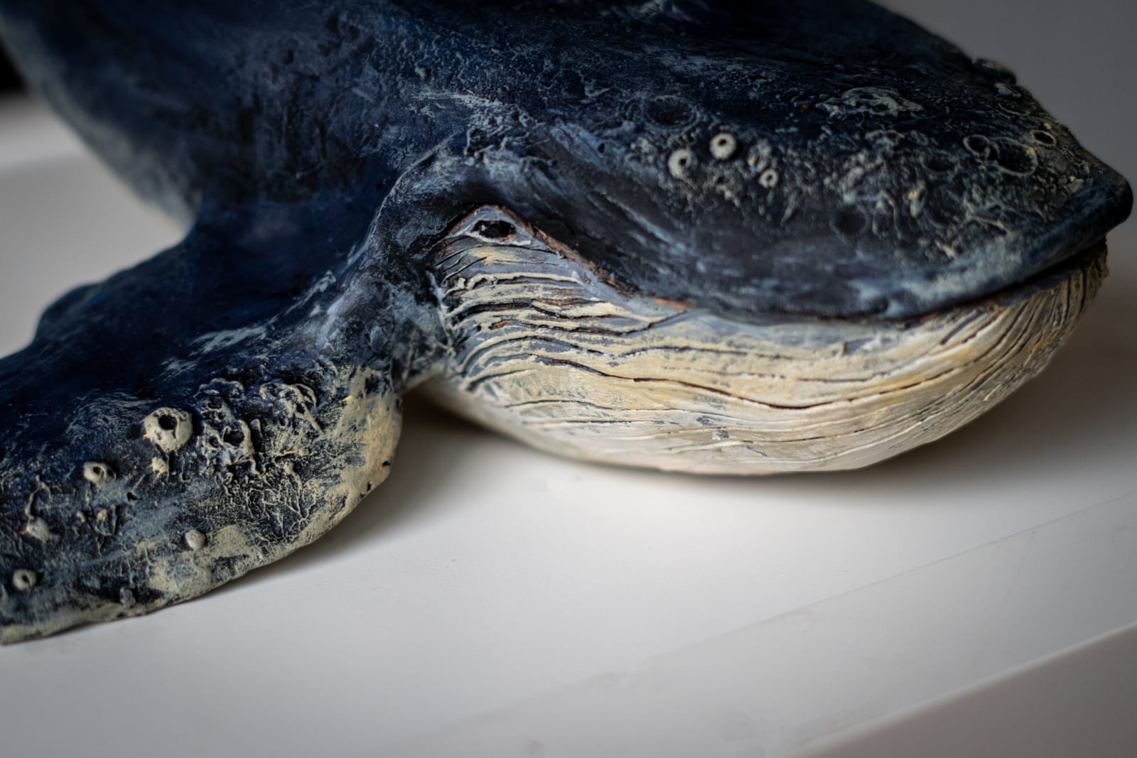 Ceramic whale, head and throat grooves in detail