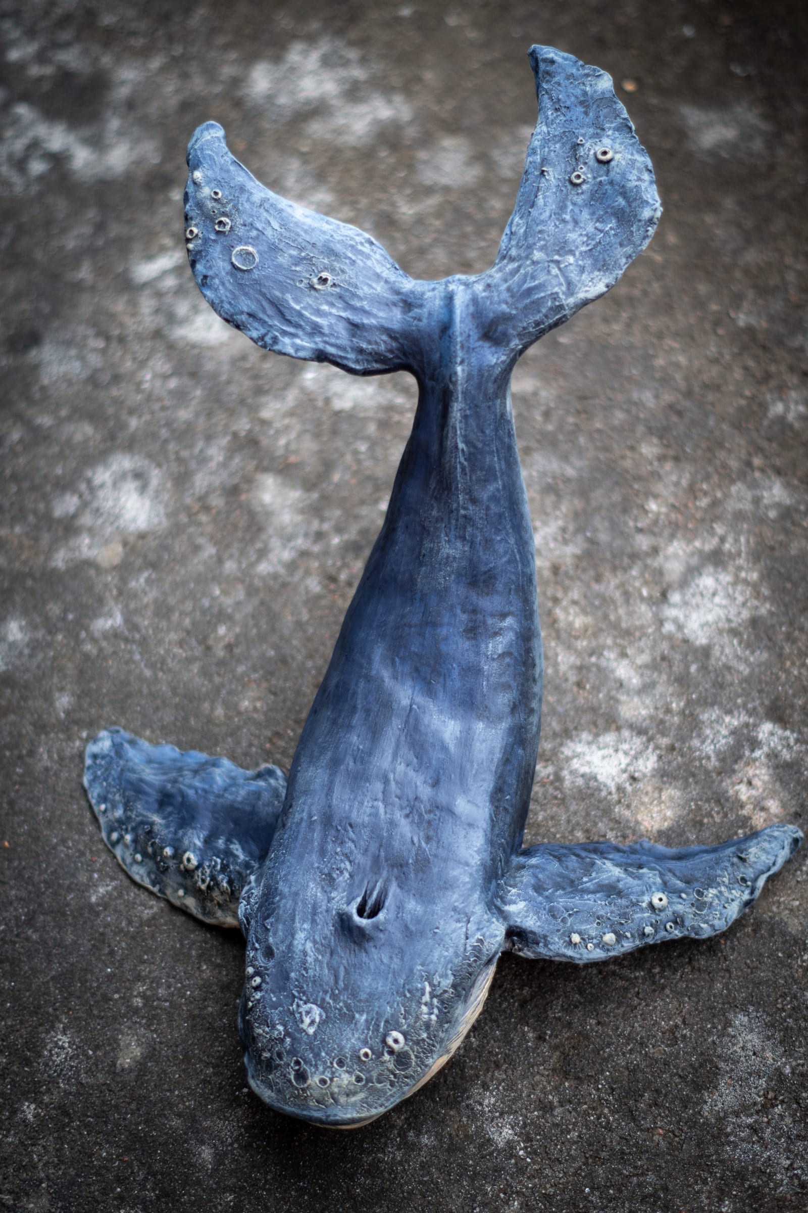 Ceramic whale seen from above