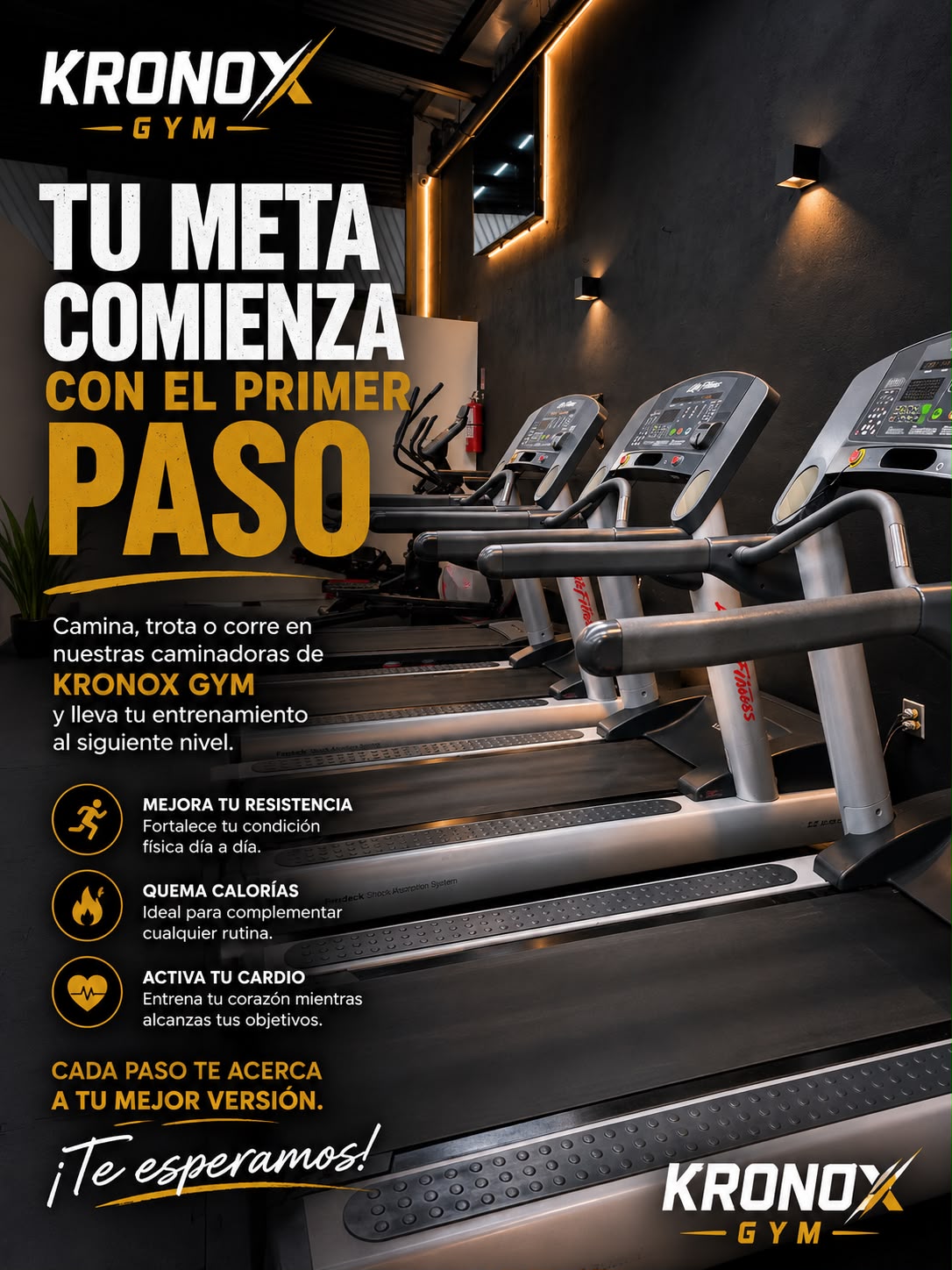 Zona de Cardio - Kronox Gym