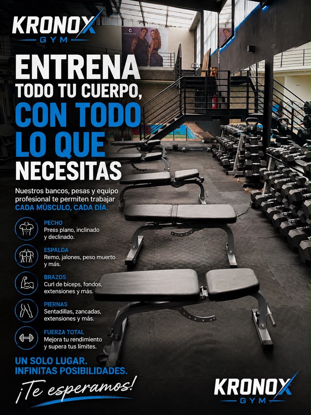 Peso Libre - Kronox Gym