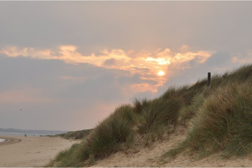 Sylt (Königshafen/Ellenbogen)