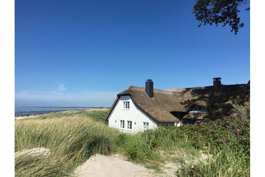 Darß (Ahrenshoop)