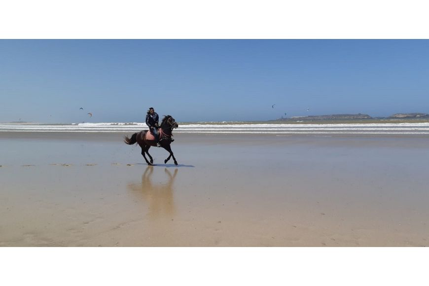 Marokko Essaouira: Kitesurf- und Windsurf Spot