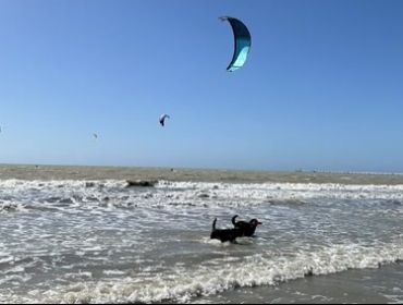 Vada (Tri Pesce): Kitesurf- und Windsurf Spot