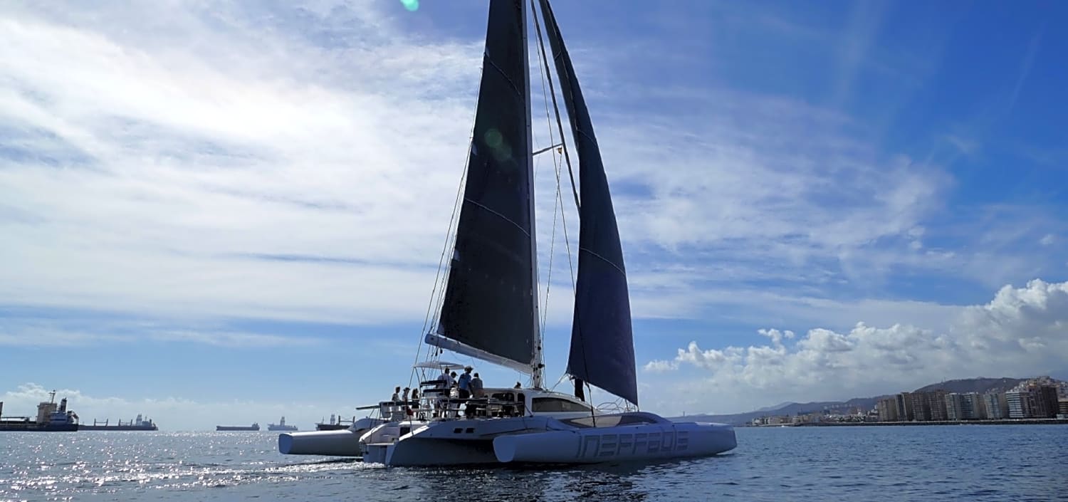 rapido trimaran price 60