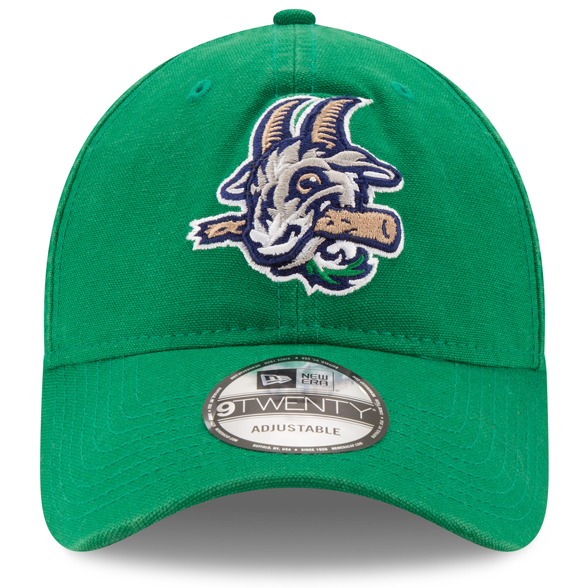 yard goats baseball hat