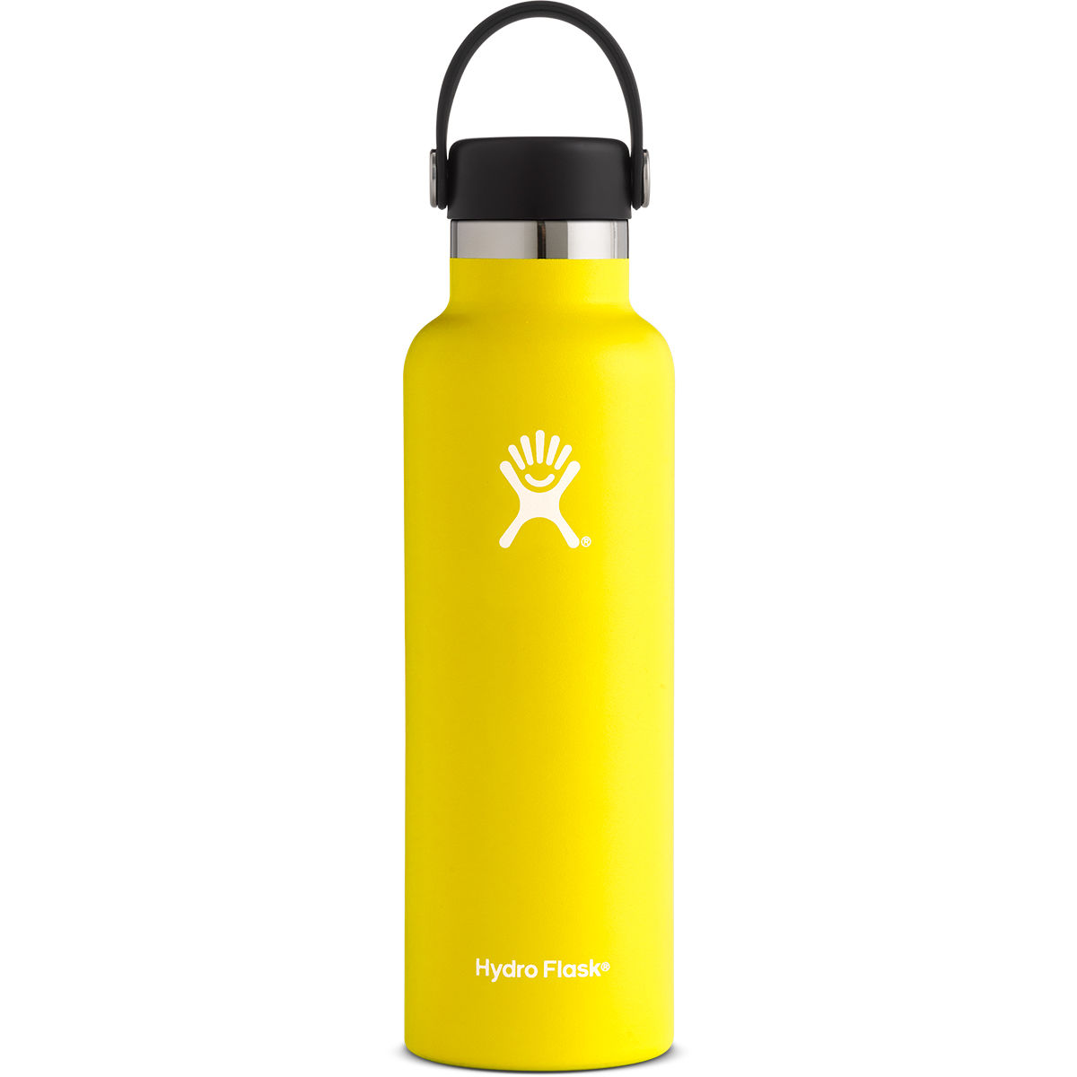 Hydro Flask 21 Oz. Standard Mouth Water Bottle With Flex Cap