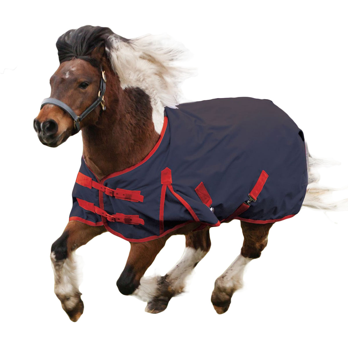 Cosy Pony Standard Medium Lite Standard Turnout, Blue