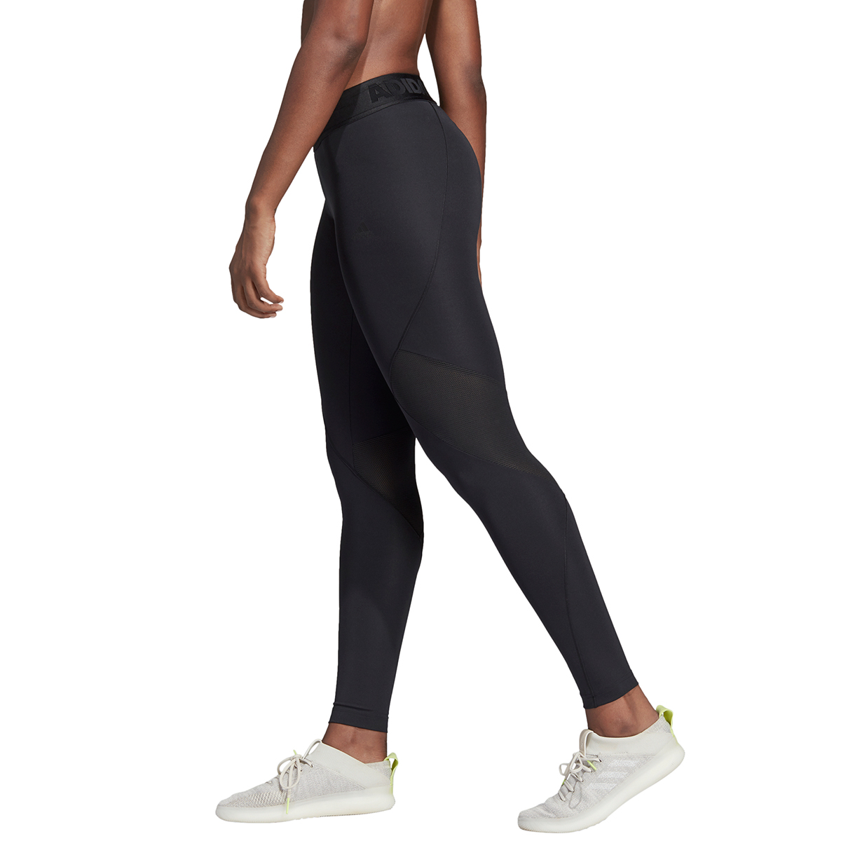 Women's Alphaskin Sport Tights - Bob's Stores