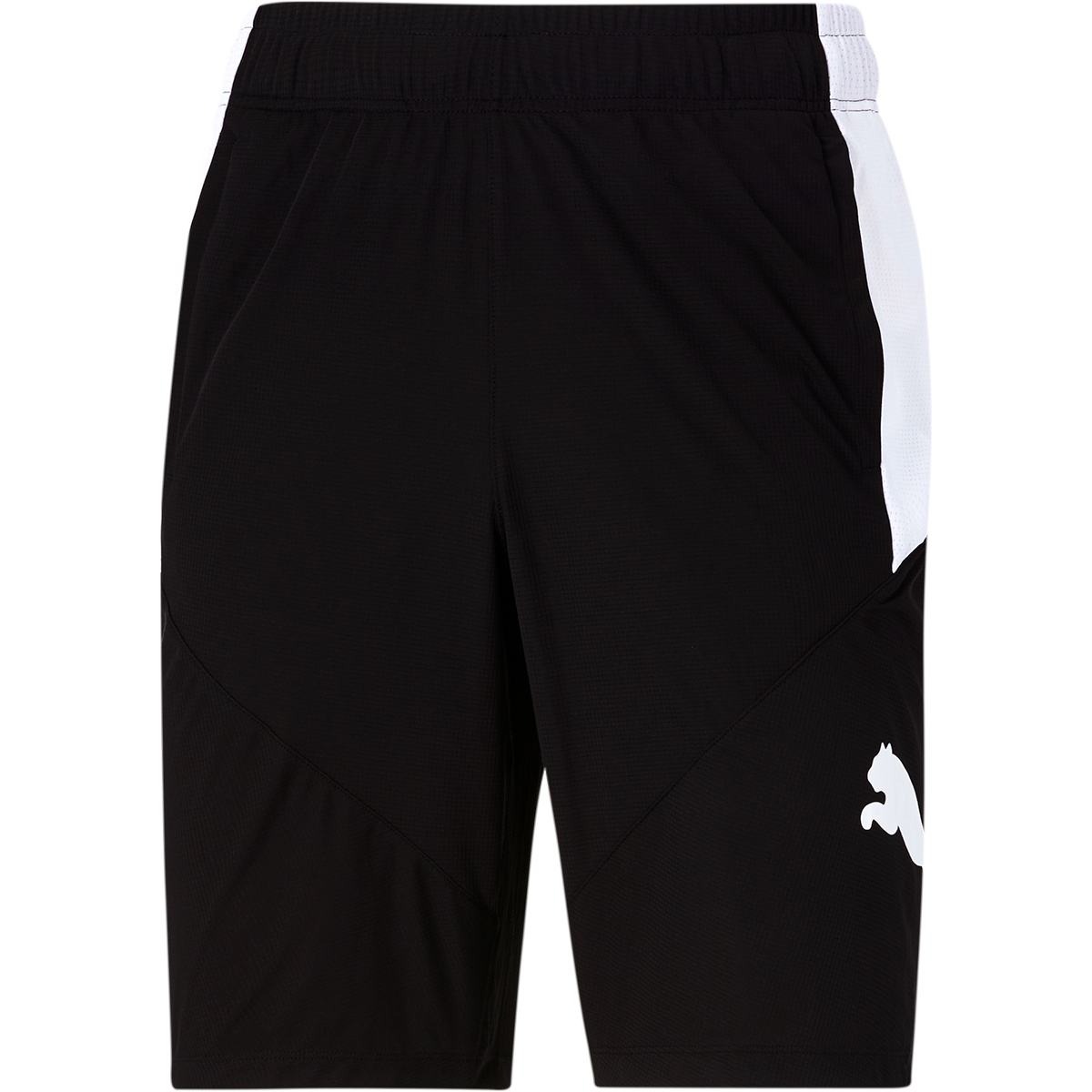 Puma Men's Cat Training Shorts