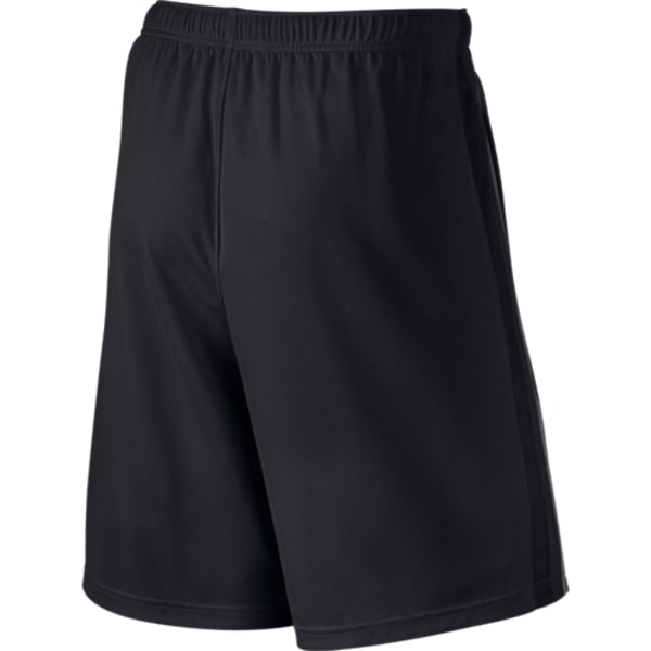 NIKE Men's Epic Dri-Fit Knit Shorts