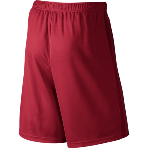 NIKE Men's Epic Dri-Fit Knit Shorts