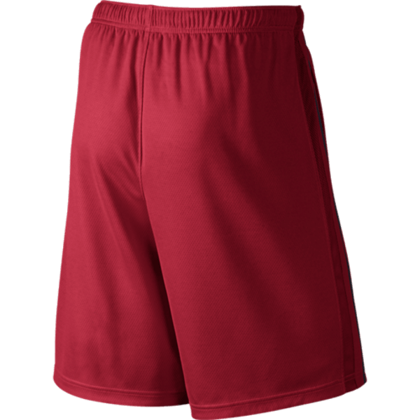 NIKE Men's Epic Dri-Fit Knit Shorts