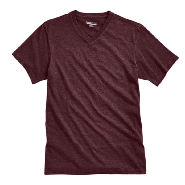 RUGGED TRAILS Men's V-Neck Tee