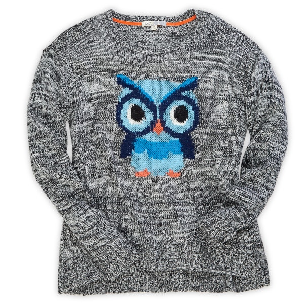 JOLT Juniors' Blue Owl Sweater