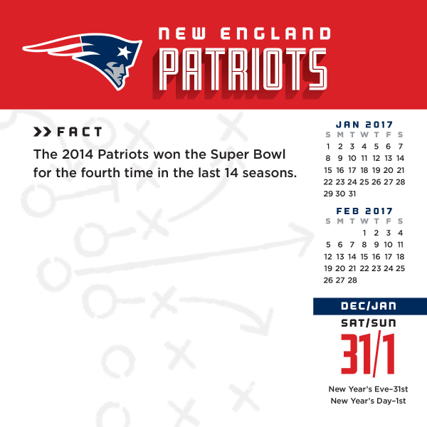 NEW ENGLAND PATRIOTS 2017 Daily Box Calendar