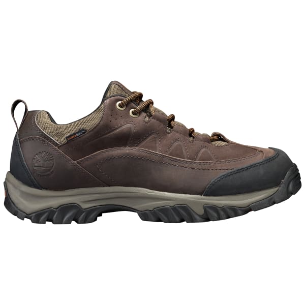 TIMBERLAND Men's Bridgeton WP Low Hiking Shoes